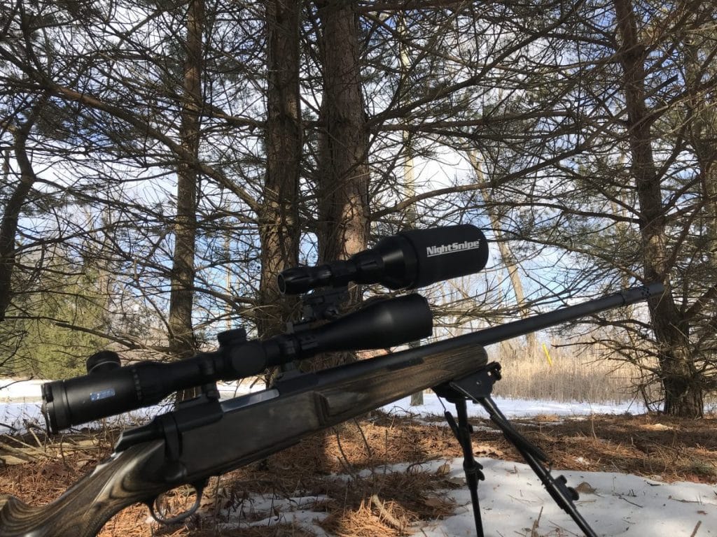 night snipe
