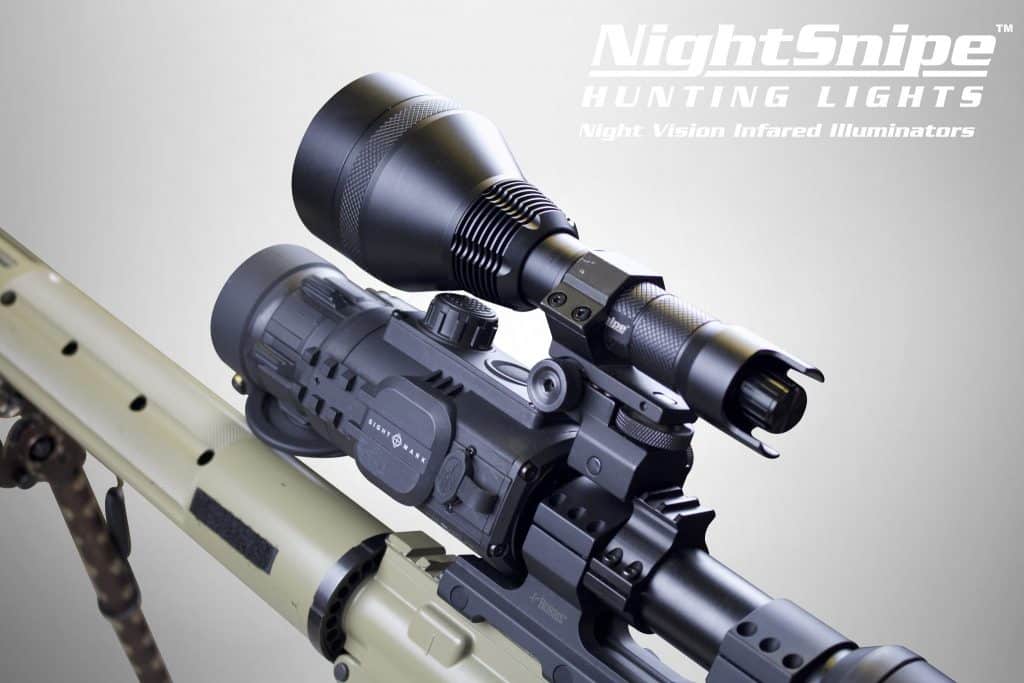 night snipe