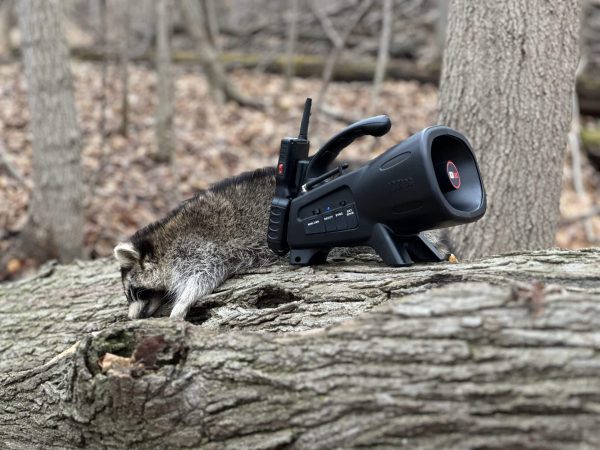 ICOtec NIGHT STALKER+ Programmable Predator Call with Bluetooth - Image 9