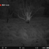 Pulsar Merger Duo NXP50 Thermal Binocular (Free Pulsar APS 3 Battery Pack!) - Image 13