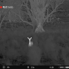 Pulsar Merger Duo NXP50 Thermal Binocular (Free Pulsar APS 3 Battery Pack!) - Image 14
