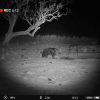 Pulsar Merger Duo NXP50 Thermal Binocular (Free Pulsar APS 3 Battery Pack!) - Image 12