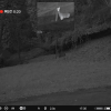 Pulsar Merger Duo NXP50 Thermal Binocular (Free Pulsar APS 3 Battery Pack!) - Image 15